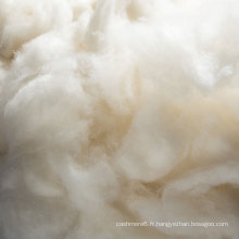 La vente chaude de fibre de laine